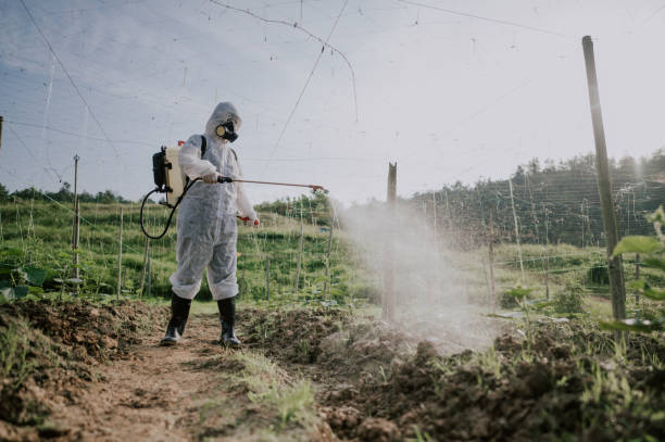 Best Best Pest Control Companies  in Buhl, ID